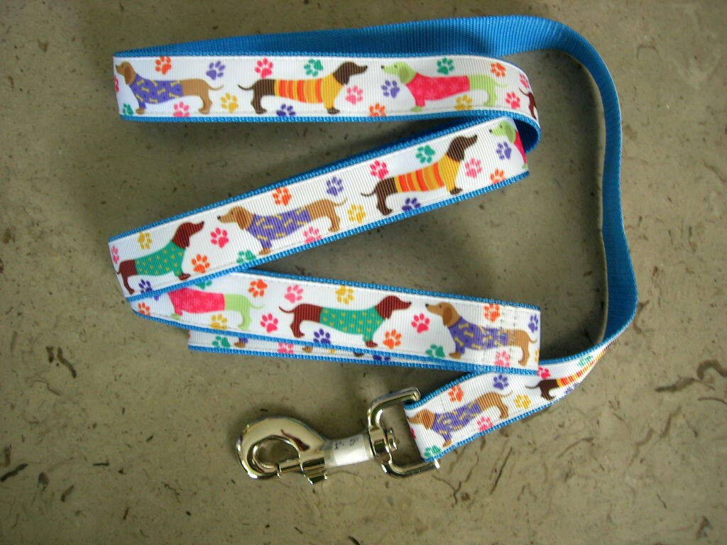 Dachshund Doxie Wiener dog leash in Dachshunds in