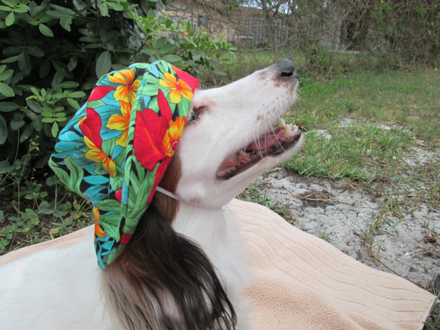 Unavailable Listing on Etsy