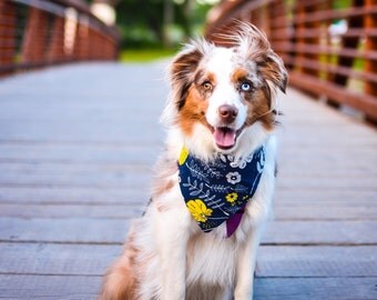 Dog Bandana - Cute Cat Bandana - Snap On Pet Bandana - Floral Meadow Bandana for pets!