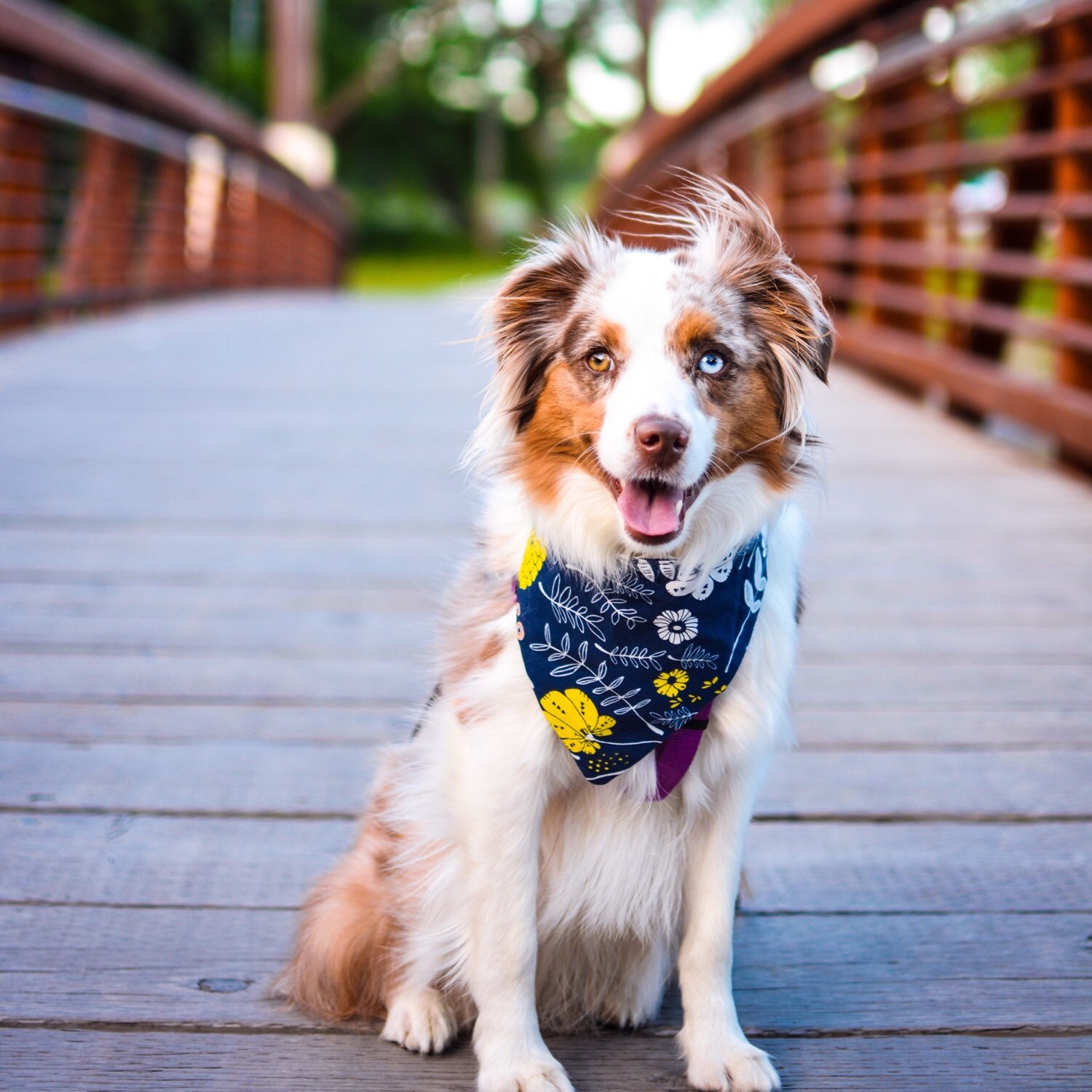 Dog Bandana Cute Cat Bandana Snap On Pet Bandana Floral