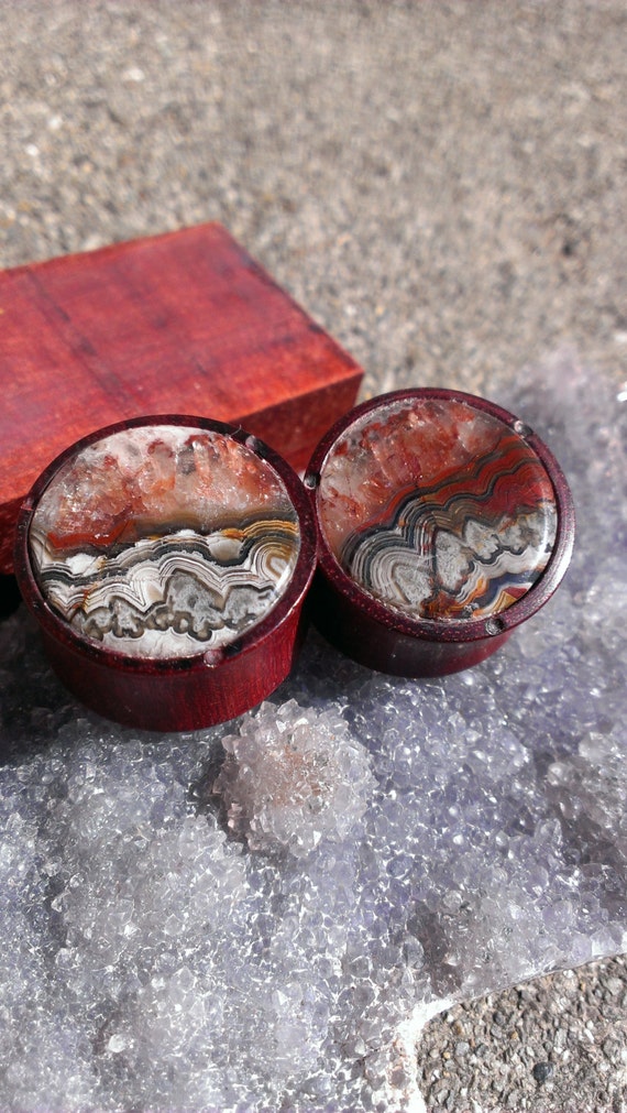 mexican crazy laceblood wood plugs by lucidtreedesign on Etsy
