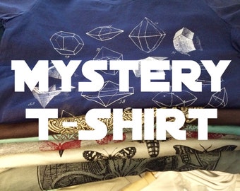 Mystery T-Shirt - One shirt at random - Screen Printed Tshirt - Graphic Tee - Vintage Art