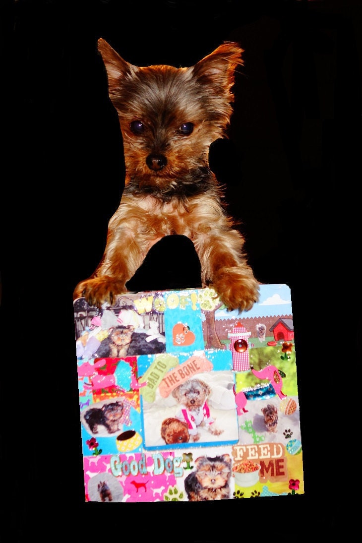 Cute Personalized Dog Picture Frame Dog Frame by KaySeeCollection