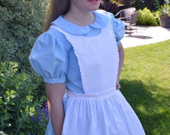 Adult Alice in Wonderland Costume Dress, Woman's