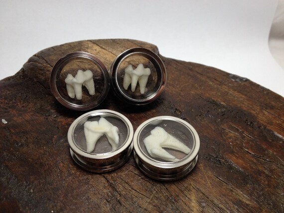  Animal Tooth Ear Plugs, Taxidermy Jewelry, Animal Bone Jewelry 19.1 mm