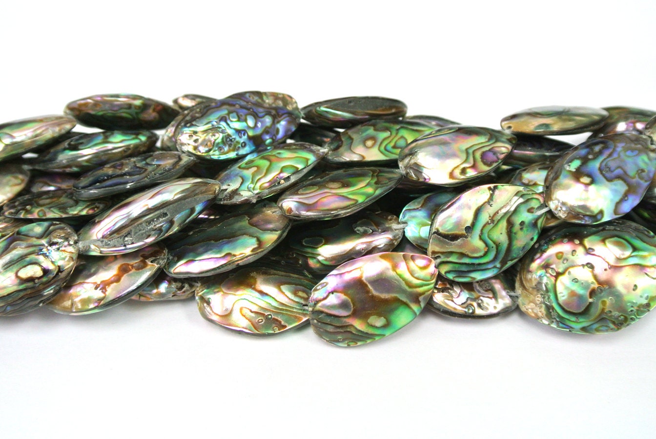 Oval Abalone Beads Abalone Stones 1 Strand 16 Round