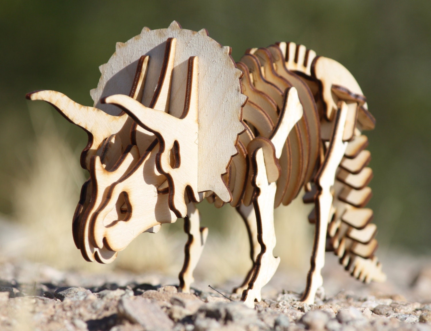 Triceratops Wooden 3d puzzle model skeleton sculpture. Great