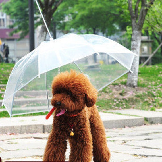 Dog umbrella