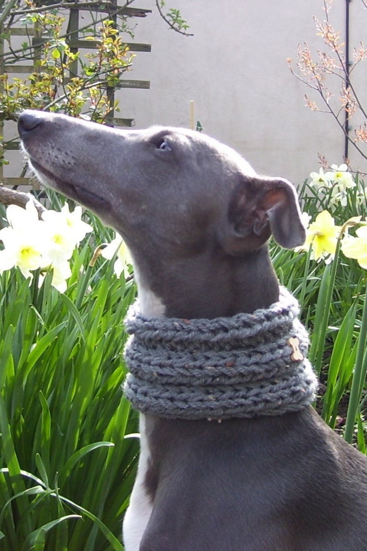 Whippet Clothing Whippet Cowl Dog Cowl Dog Snood Dog