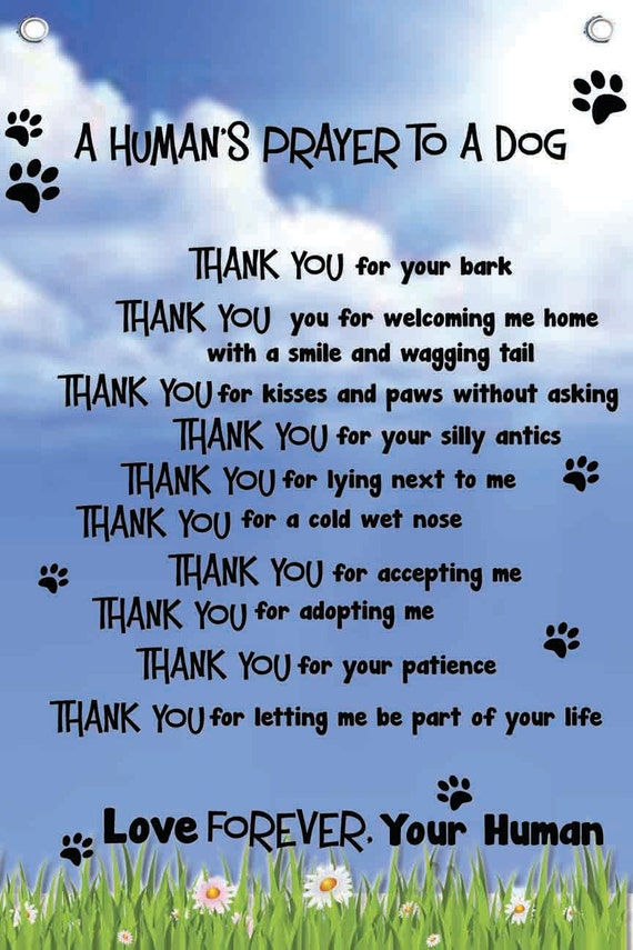 Dogs Prayer For Grieving Humans