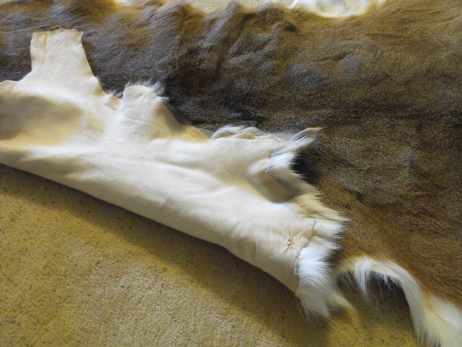 White Tail Deer Hide Hair On All Natural hide rugs. by NatureAmmil