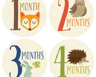 GIFT OFFER, Monthly Baby Sticker Boy, Baby Month Sticker, Woodland, Milestone Sticker, Month by Month Baby Sticker, Baby Gift, Baby Boy