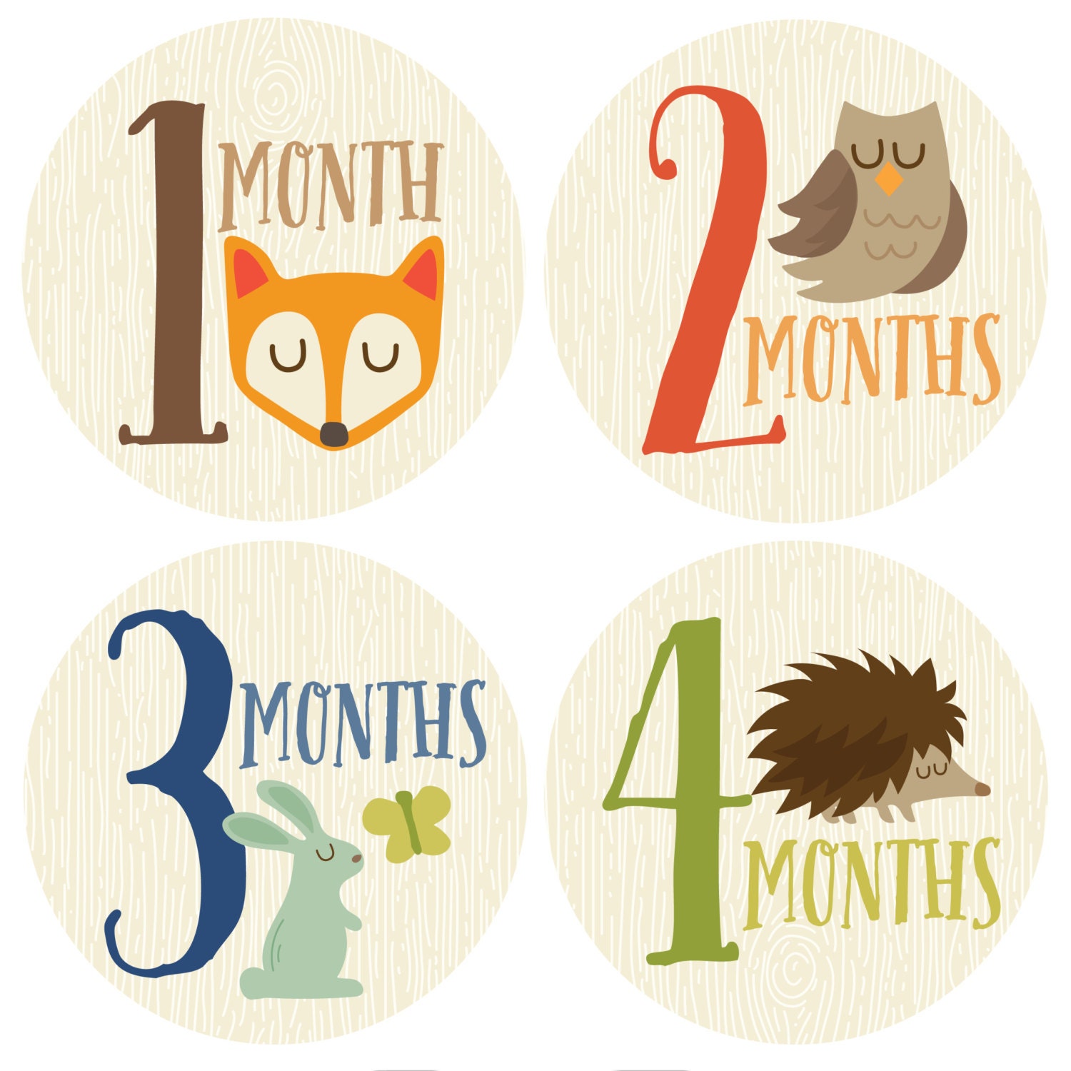 GIFT OFFER Monthly Baby Sticker Boy Baby Month Sticker