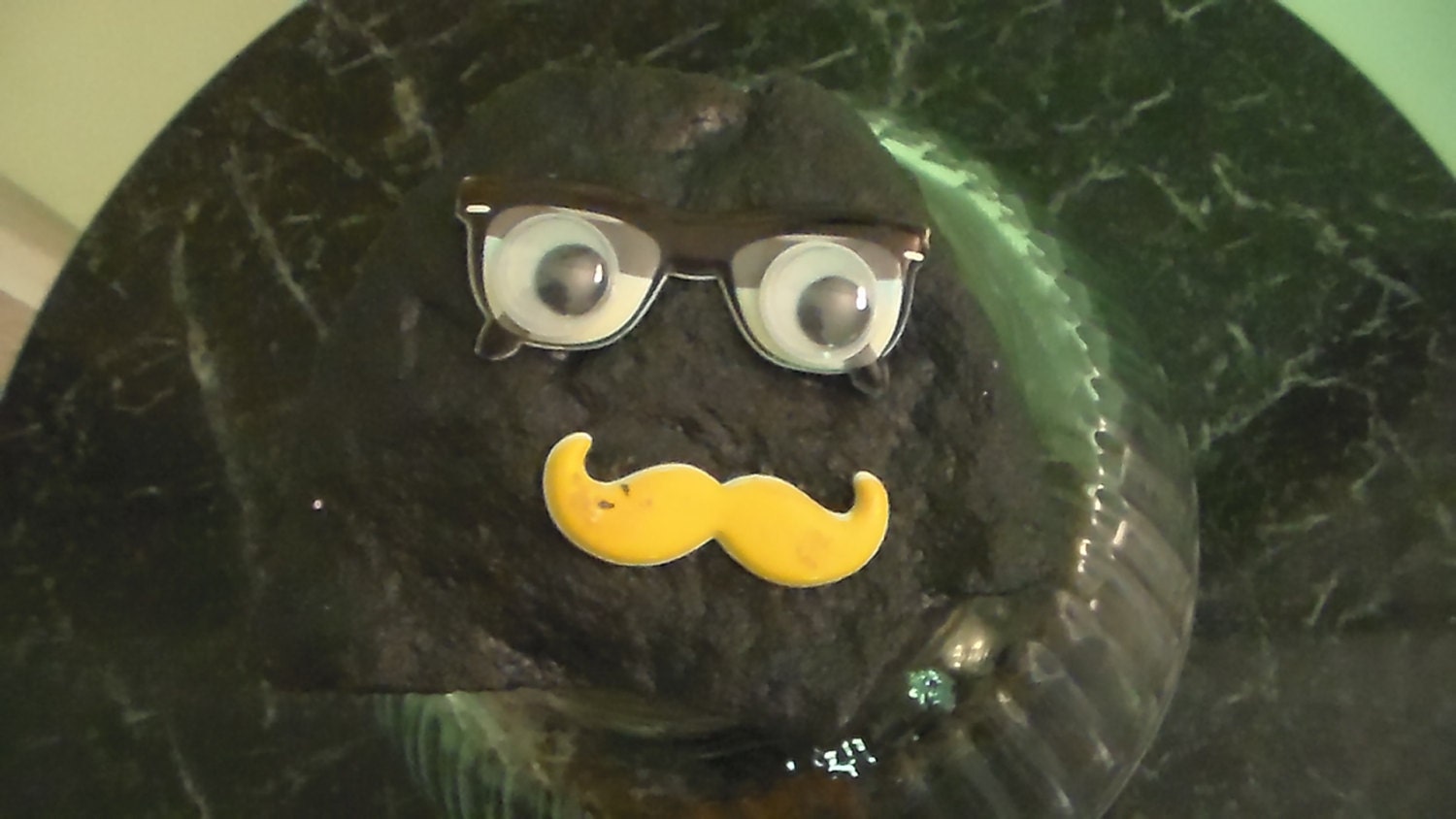 Pet Rocks. googly eyes painted rocks rocks by Beyoutifyyourworld