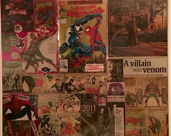 The amazing spiderman