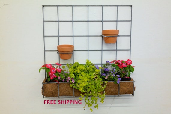 Metal grid wall hanging planter//Wire//Metal//Planter//Hanging
