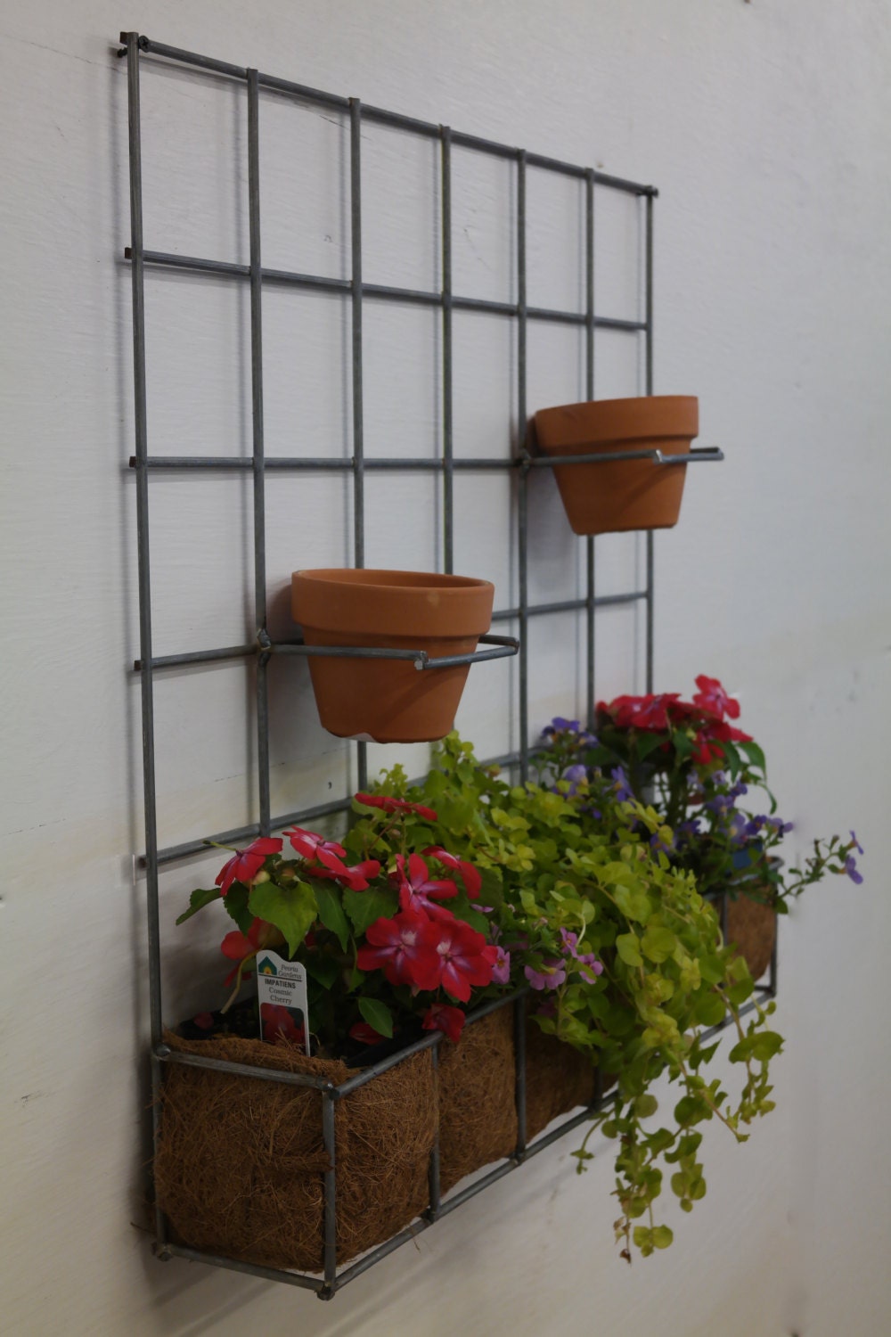 Metal grid wall hanging planter//Wire//Metal//Planter//Hanging