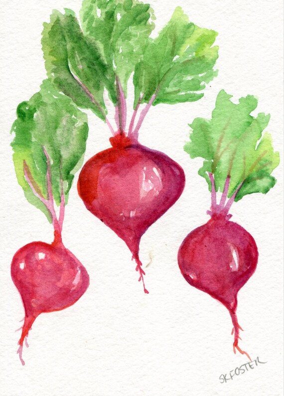 Beets watercolors paintings original vegetable series 5 x