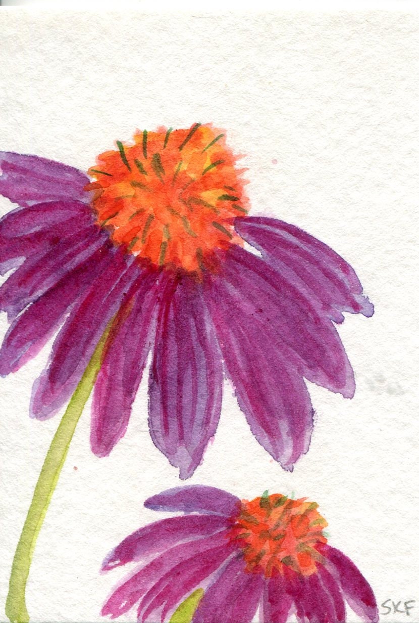 Purple Coneflowers Echinacea Watercolor by SharonFosterArt on Etsy