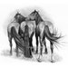 printable horse bookmarks horses in pencil by