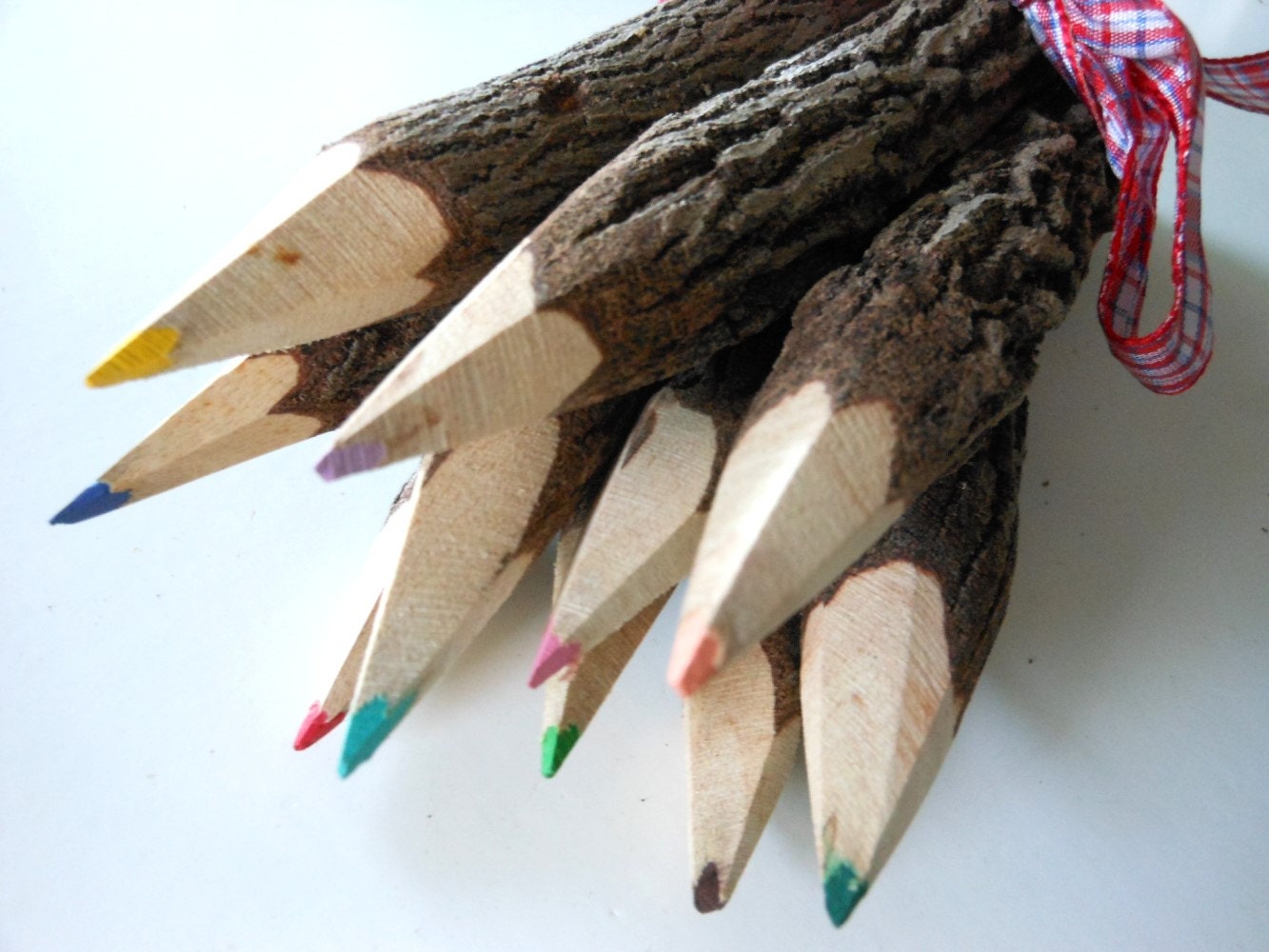 TREE BRANCH PENCILS 10 Colored Pencils 7 by BlythHouseCreations