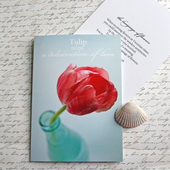 tulip Language of Flowers note card // Nature Floral Plant