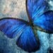 moonchild9482