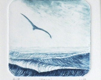 Original drypoint of a gull gliding over the ocean