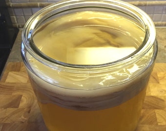 Organic Kombucha Scoby - LG 7 inch size - Make your own nourishing probiotic drink - Use your own organic ingredients to guarantee non GMO