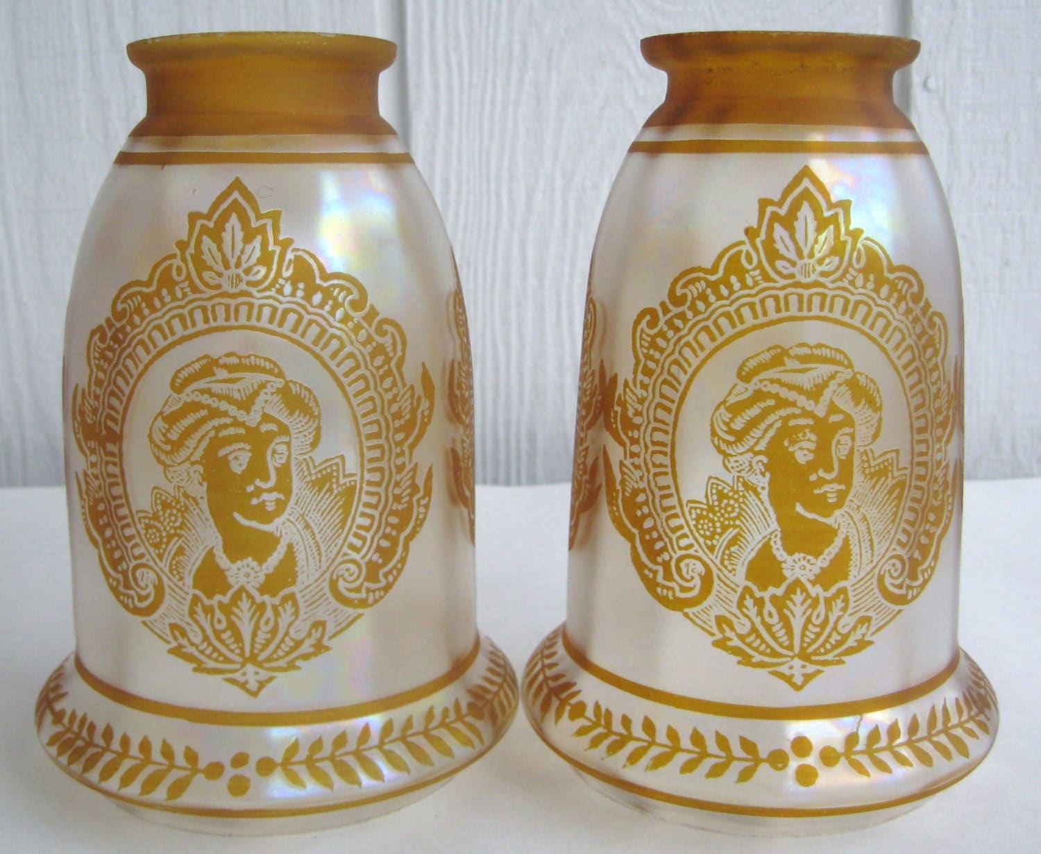 Pair Acid Etched Cameo Glass Light Lamp Shade Iridescent Amber