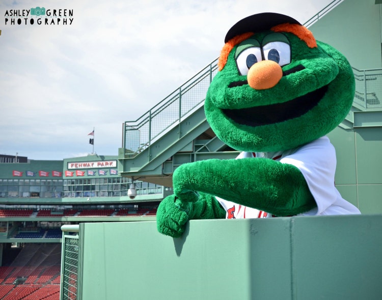 wally the green monster plush