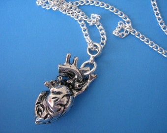 Anatomical Heart Necklace Heart Charm Pendant Medical Biology Gothic