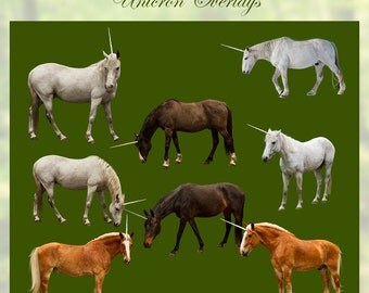 8 Unicorn PNG Digital Photography Overlays Real Horses