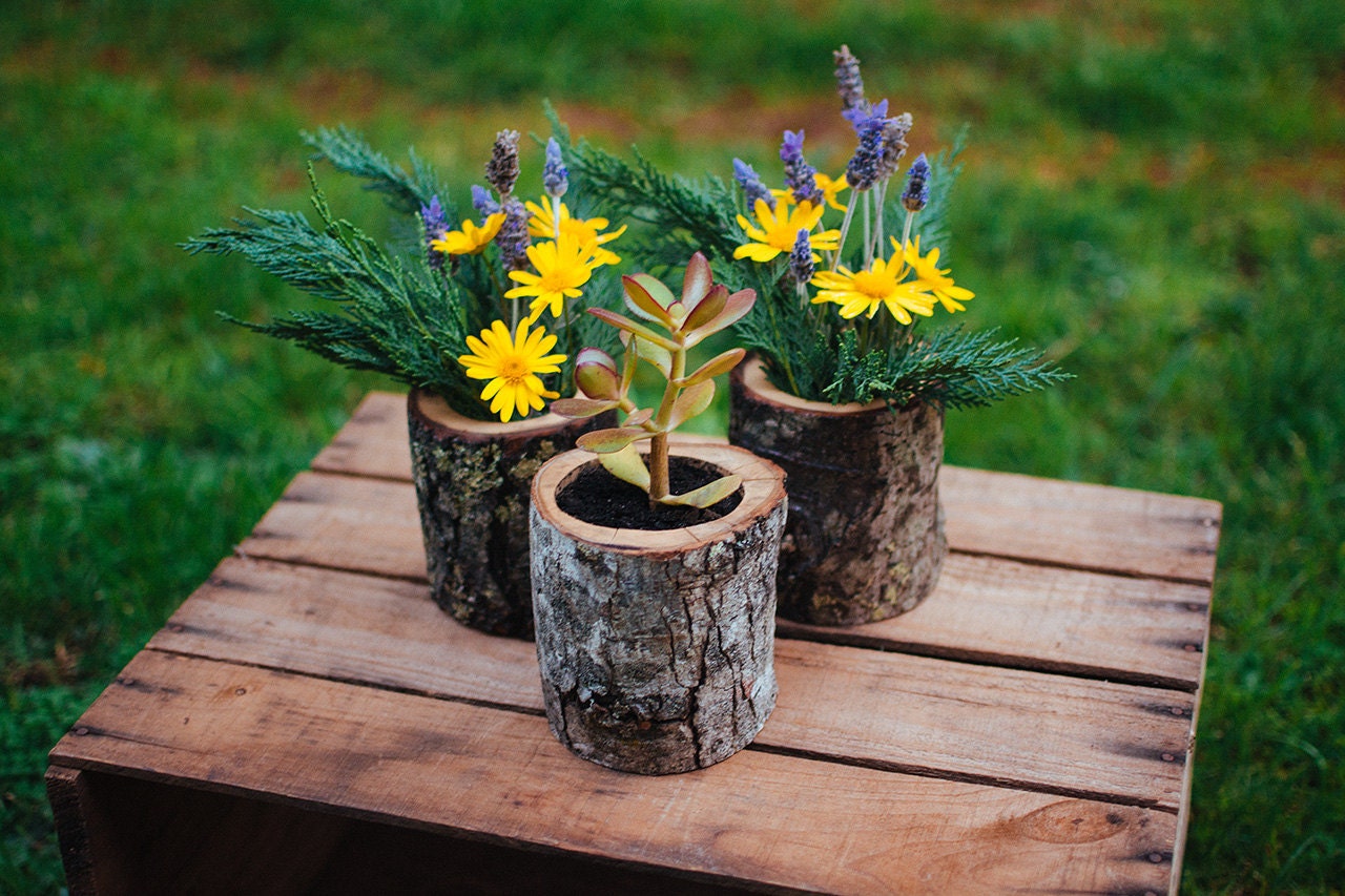 Natural Wood Log Planter Pots by JaccobMcKay on Etsy