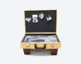 Suitcase Pet Bed for a Dog or Cat / Gold Metal Exterior with handmade cushion