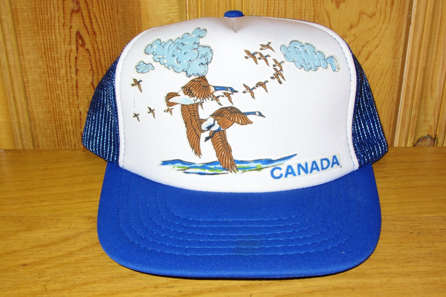 CANADA Souvenir Skein of Geese Vintage 80s Blue Mesh Trucker Snapback