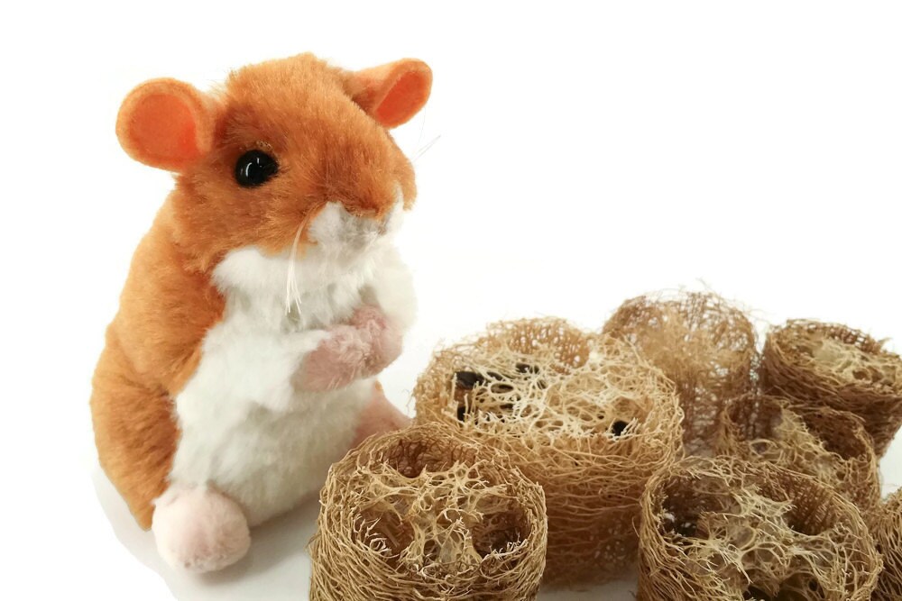 Natural Loofah Chews Chew Toy Small Animals Guinea Pig