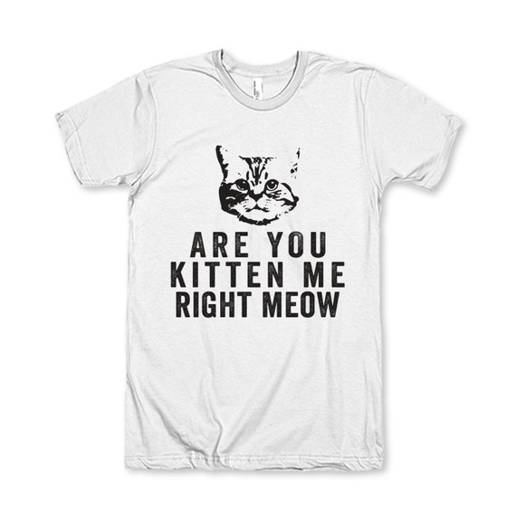 Are You Kitten Me Right Now By Awesomebestfriendsts On Etsy