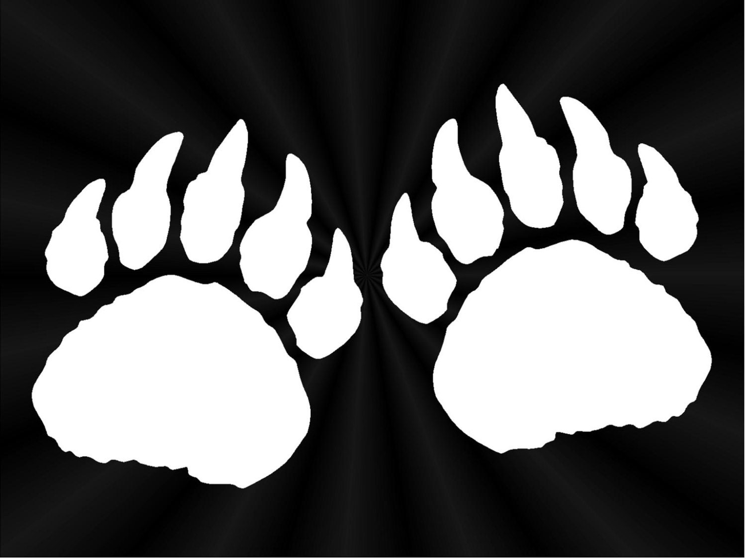 Bear Print Decal Bear Tracks Bear Paw Grizzly By Trulinedecals