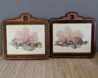 Vintage seashell art | shell art | shell plaque | seashell plaque | coastal cottage decor | decoupage plaque
