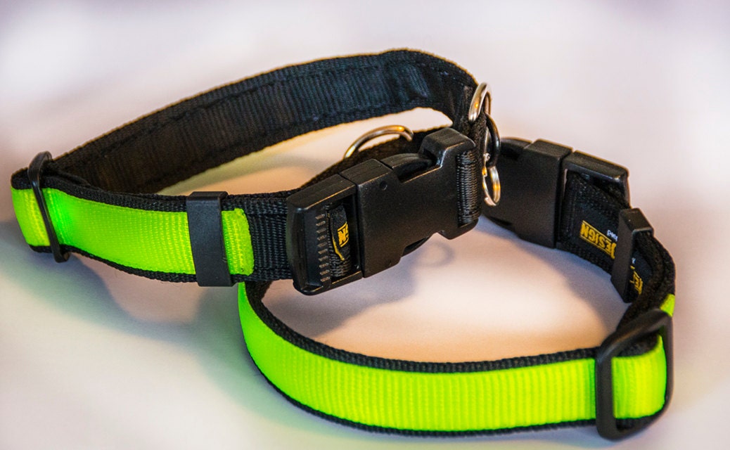 Hi Viz Pet Dog Collar Easy Snap 25mm 1inch Wide. by RexEzeRange
