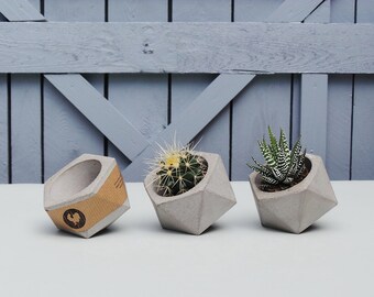 Set of 3 Concrete planters, succulent planter, succulent concrete planter, geometric planter, concrete planters, small concrete planter