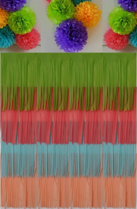 Tissue paper fringe backdropPhoto booth by