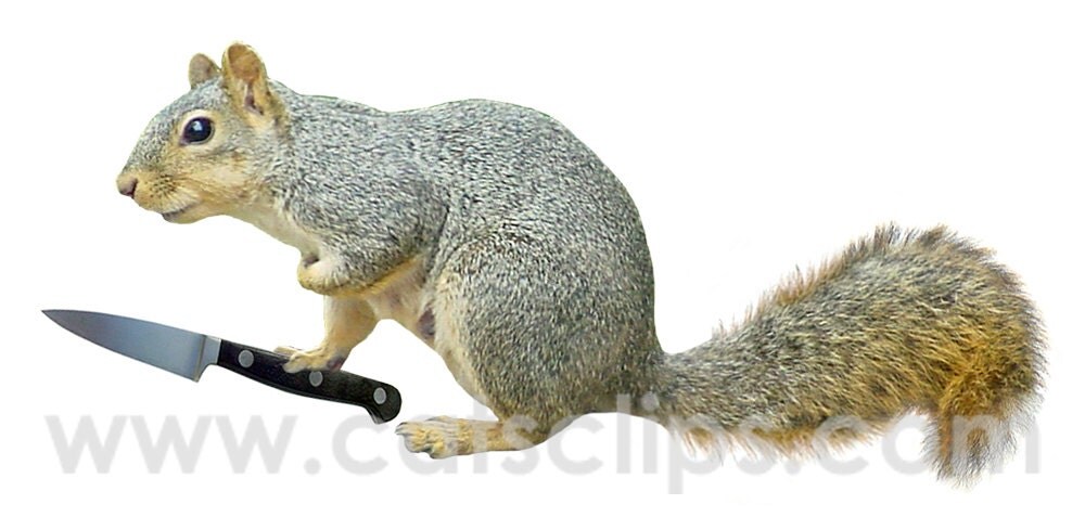 Squirrel with Knife Print by CatsClips on Etsy