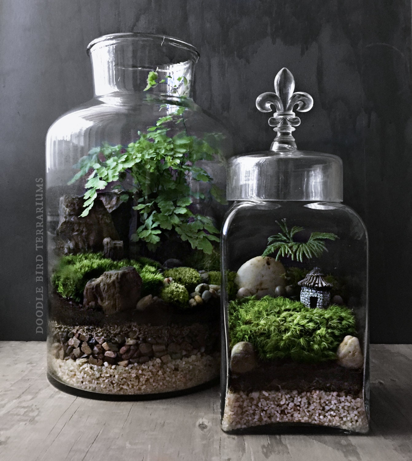 Woodland Terrarium Garden with Miniature House and by DoodleBirdie