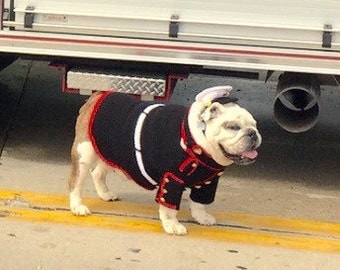 Usmc Bulldog Uniform - Usmc Dog Sweater - Dog Costume Sweater - Marine Dog Costume - Marine Dog Uniform - Marine Corps Dog Costume - Bulldog