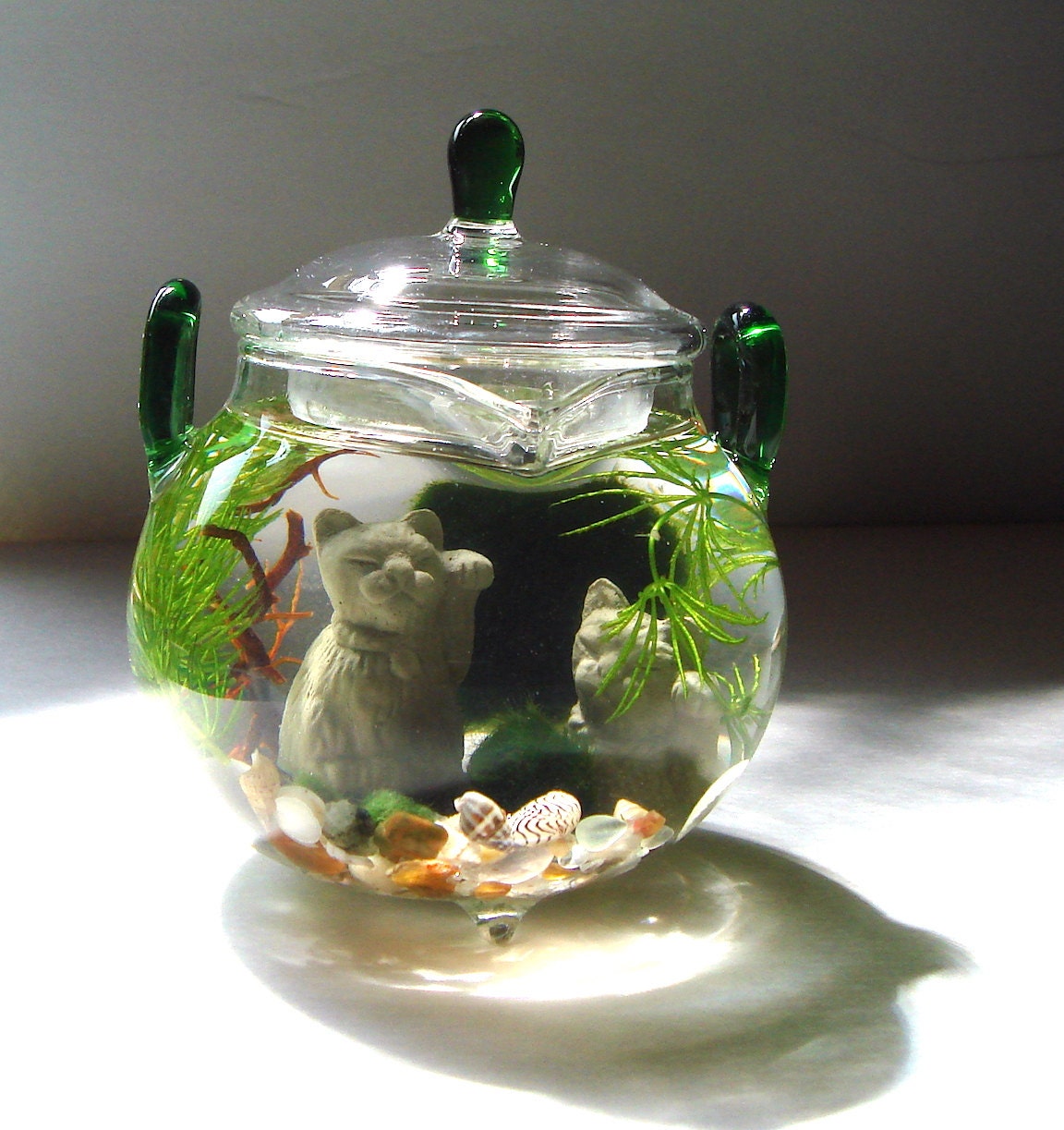 Lucky Cat  Green  Tea  Teapot Marimo Moss Balls Mini by TyberKatz