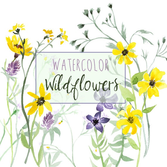 Watercolor Wildflowers Natural summer wildlife clipart set