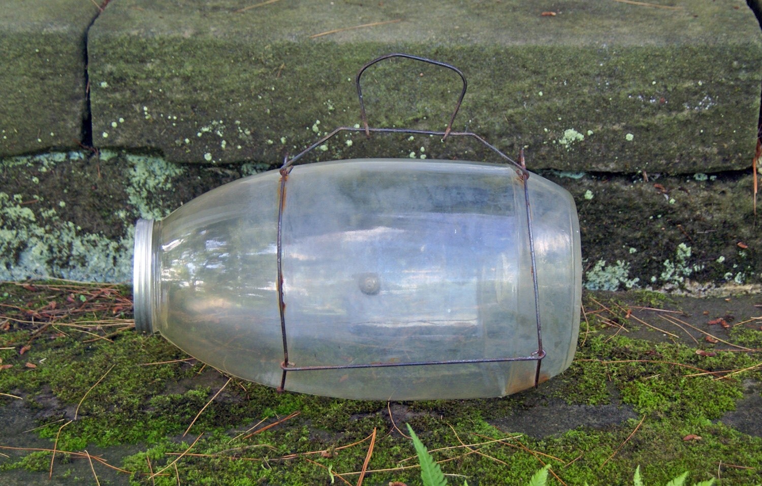 Glass Minnow trap Vintage/Antique Orvis Fishing Angler