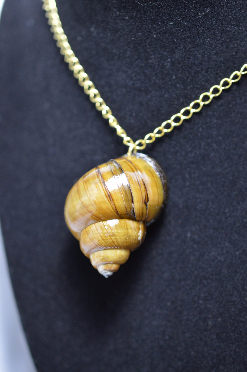 Snail shell necklace with matching earrings